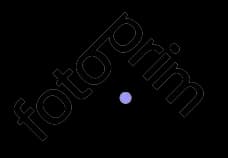 Fotoprim